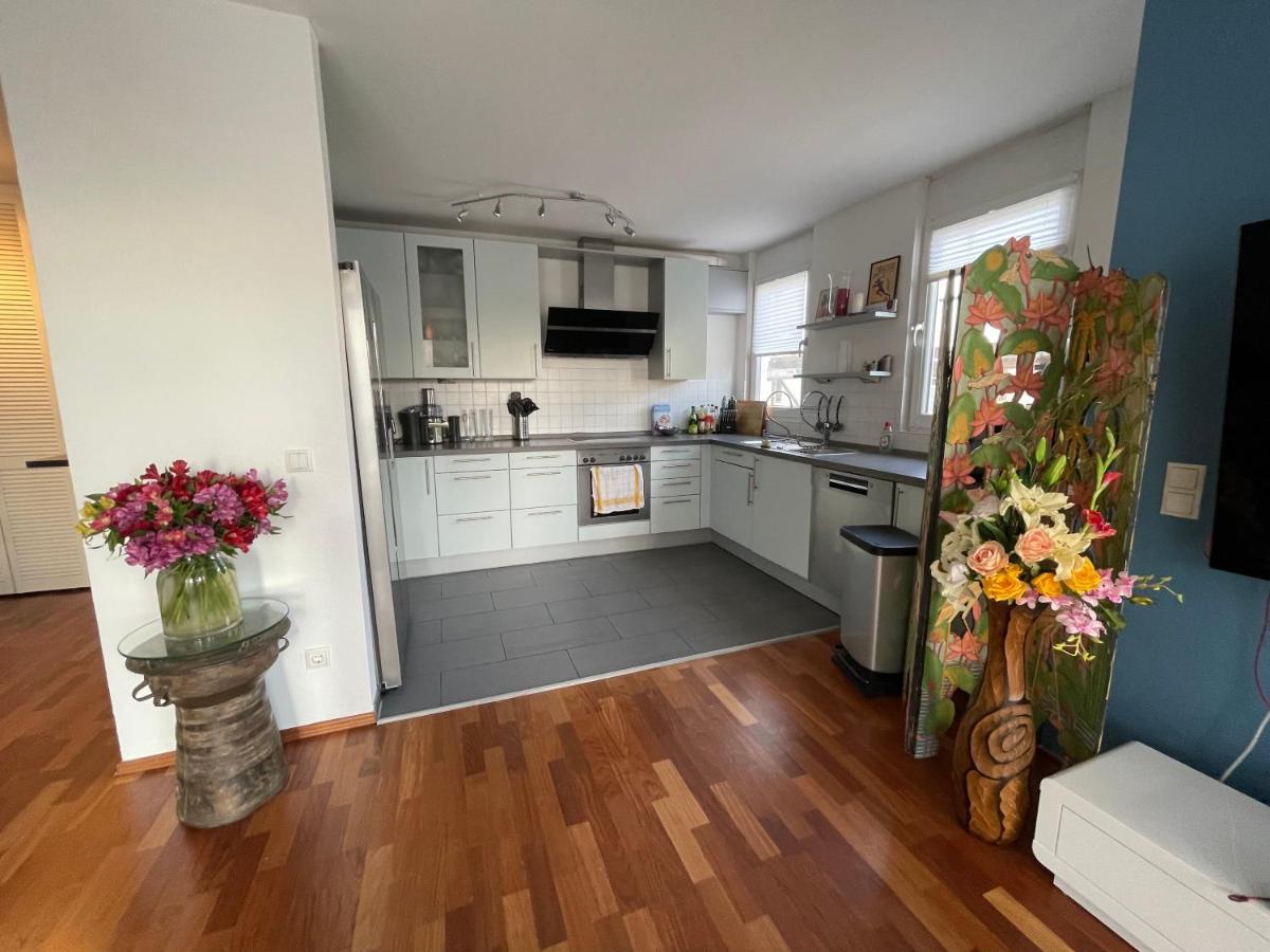 The Beverly Hills Of Frankfurt In Hofheim Penthouse Or Garden Hofheim am Taunus Exterior photo