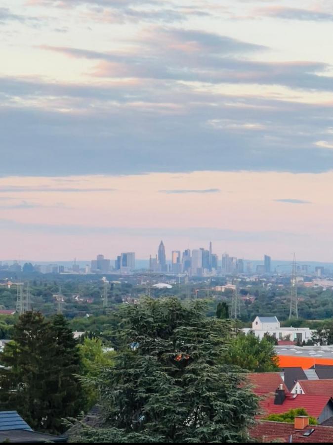 The Beverly Hills Of Frankfurt In Hofheim Penthouse Or Garden Hofheim am Taunus Exterior photo